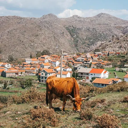 Villa Farm House Touvedo